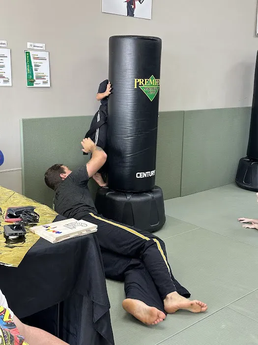 Premier Martial Arts Creve Coeur Picture 5