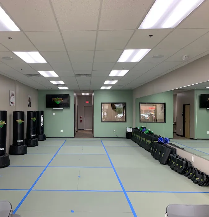 Premier Martial Arts Creve Coeur Picture 6