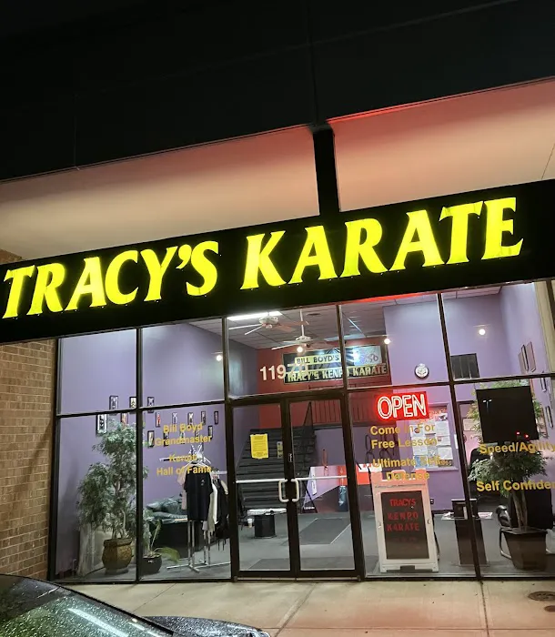 Tracy's Karate Studio Picture 2