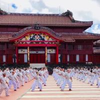 Gateway Shidokan Karate, LLC ico