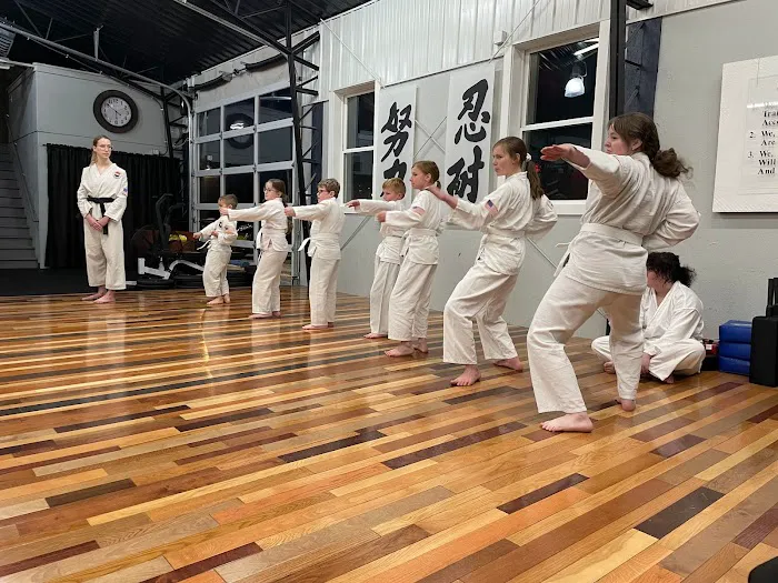Inertia Martial Arts and Fitness Picture 6