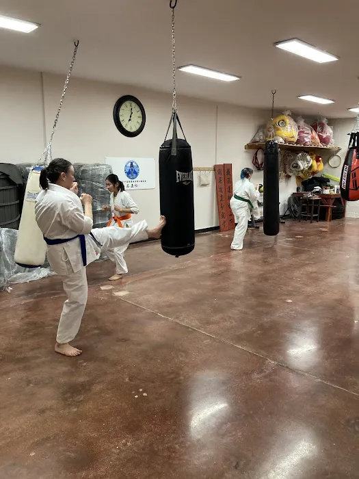 Zen Budo - Mizukagami Dojo (Kyokushin Karate) Picture 4