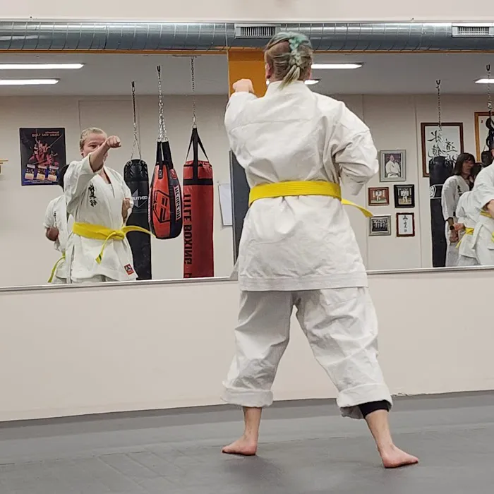 Zen Budo - Mizukagami Dojo (Kyokushin Karate) Picture 7