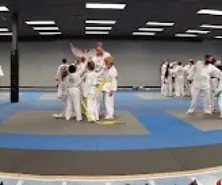 Rise Martial Arts: Des Peres