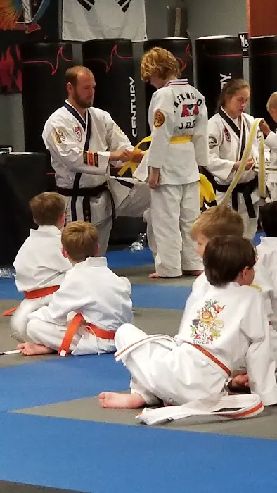 Rise Martial Arts: Des Peres Picture 3