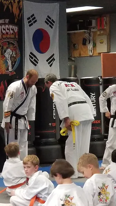 Rise Martial Arts: Des Peres Picture 2