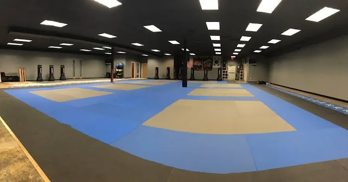 Rise Martial Arts: Des Peres Picture 4