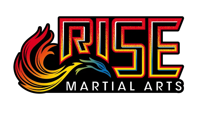 Rise Martial Arts: Des Peres Picture 5