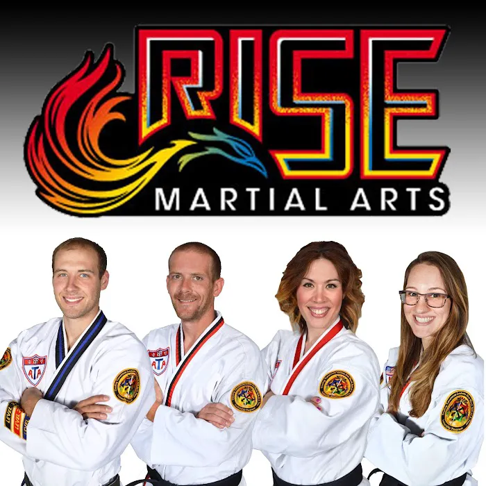 Rise Martial Arts: Des Peres Picture 6