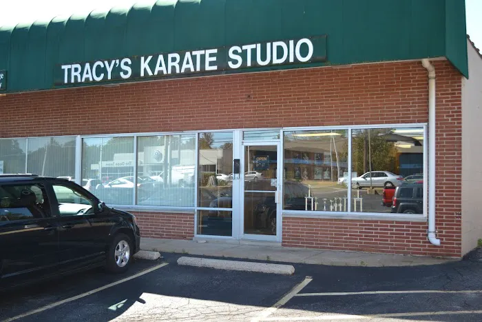 Tracy's Karate Studio Picture 6