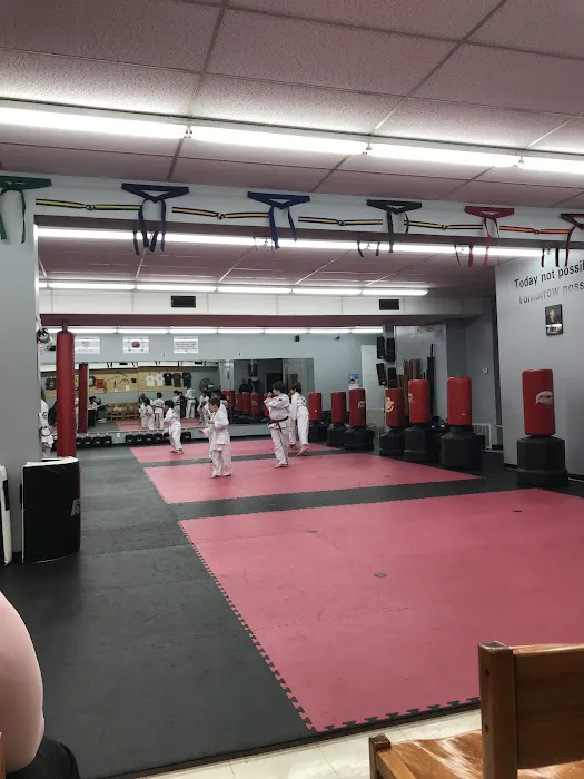 ATA Martial Arts, St. Louis Black Belt Academy, LLC Picture 2
