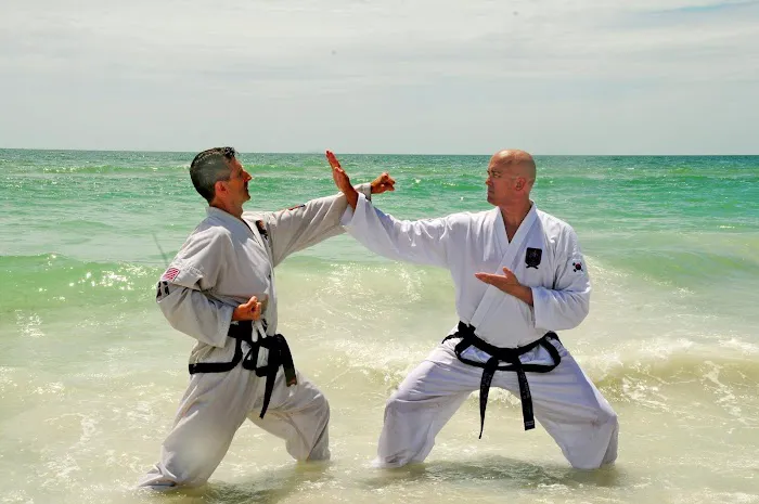 Traditional TaeKwon-Do of Saint Louis Picture 5