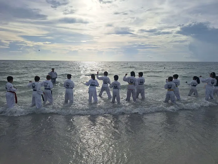 Traditional TaeKwon-Do of Saint Louis Picture 3