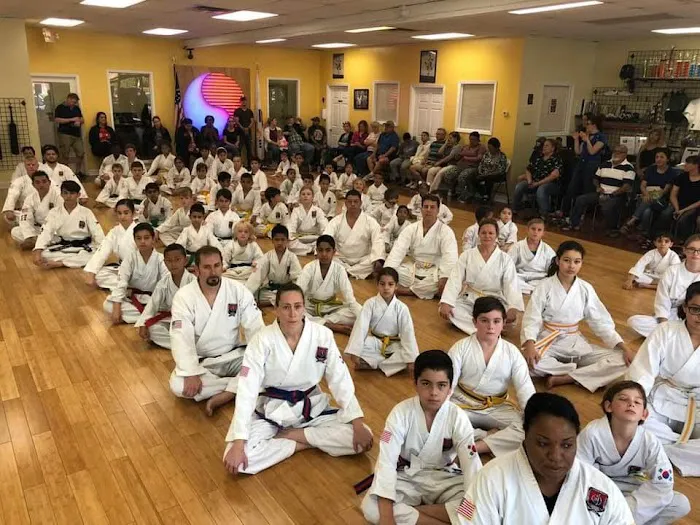 Traditional TaeKwon-Do of Saint Louis Picture 7