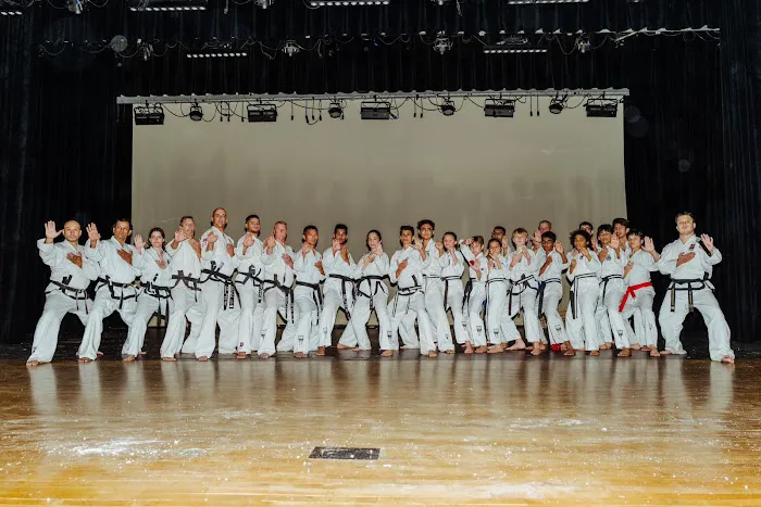 Traditional TaeKwon-Do of Saint Louis Picture 9