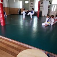 Martial Arts College of Clayton ico