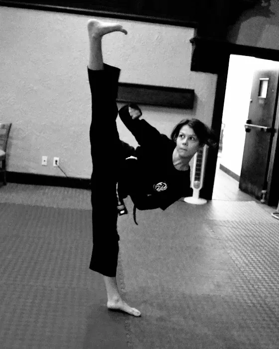Twin Dragons Taekwondo Picture 2