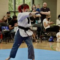 Twin Dragons Taekwondo ico