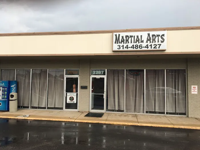 Ohana Martial Arts Picture 3