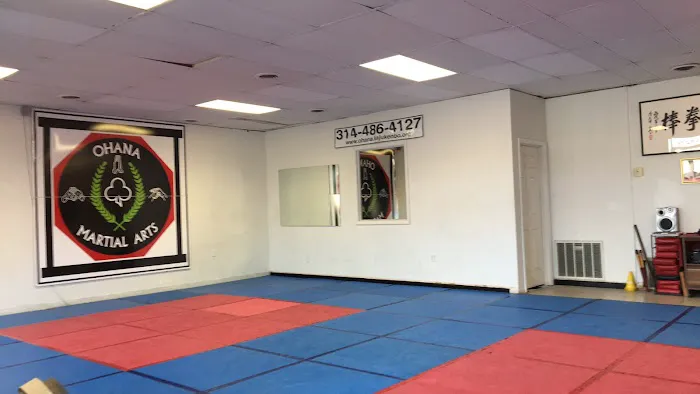 Ohana Martial Arts Picture 2