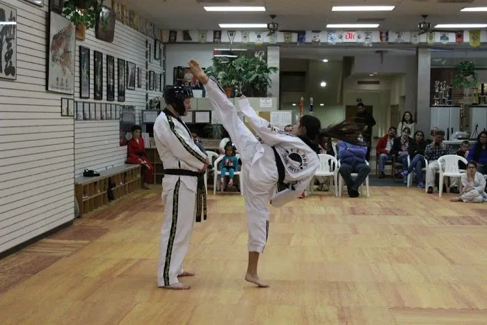 Y.S. Rho Martial Arts Picture 1