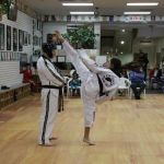Y.S. Rho Martial Arts