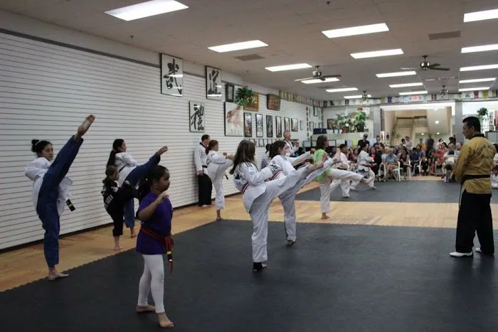 Y.S. Rho Martial Arts Picture 3