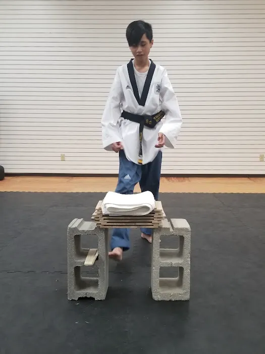Y.S. Rho Martial Arts Picture 10