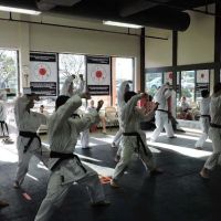 Missouri Karate Association ico