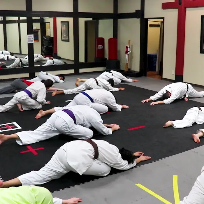 Missouri Karate Association Picture 10