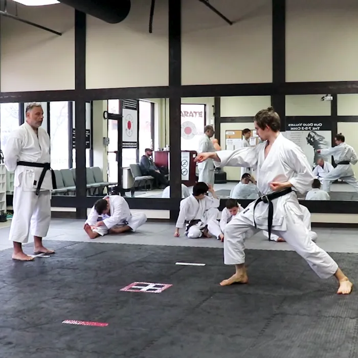 Missouri Karate Association Picture 9