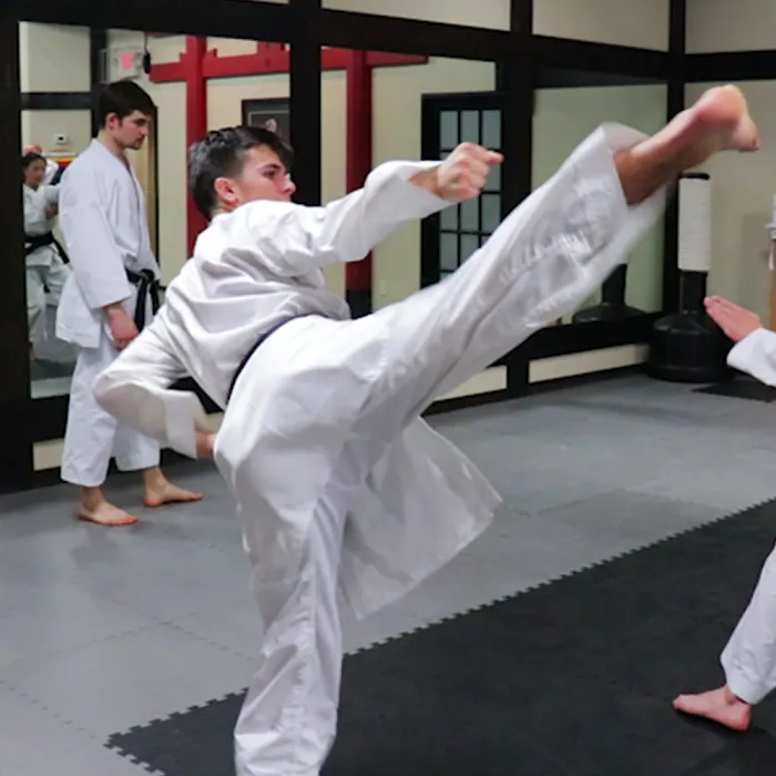 Missouri Karate Association Picture 5
