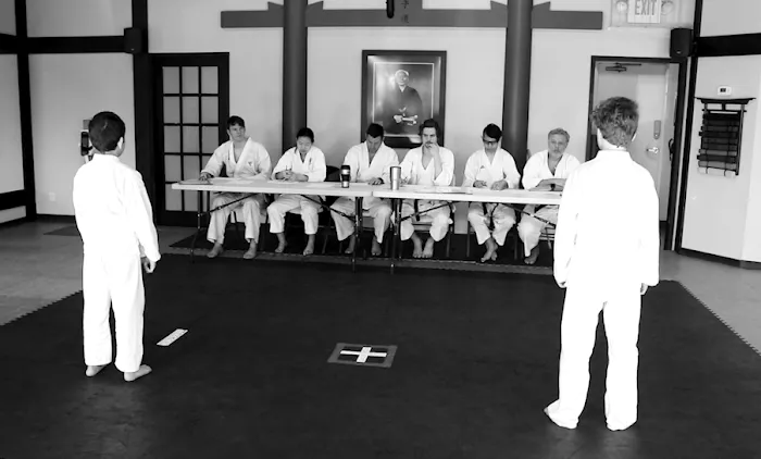 Missouri Karate Association Picture 6