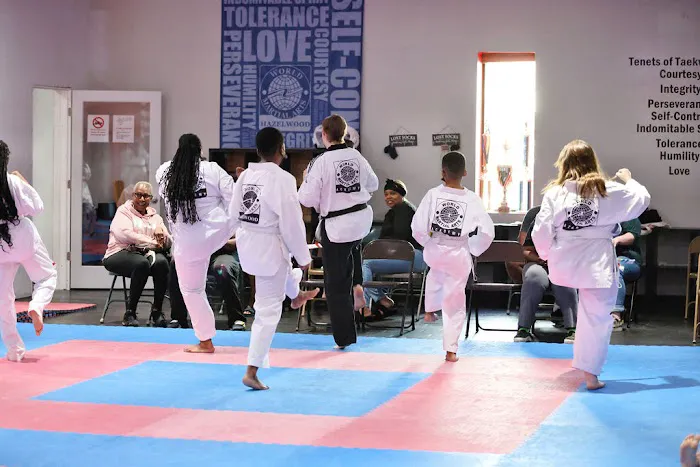 World Martial Arts Academy - Hazelwood Picture 1