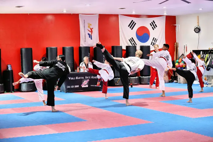 World Martial Arts Academy - Hazelwood Picture 8