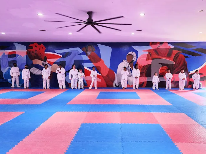 World Martial Arts Academy - Hazelwood Picture 6