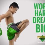 Premier Martial Arts - St. Louis, MO