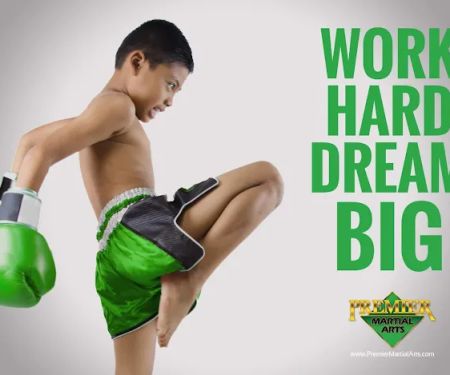 Premier Martial Arts - St. Louis, MO