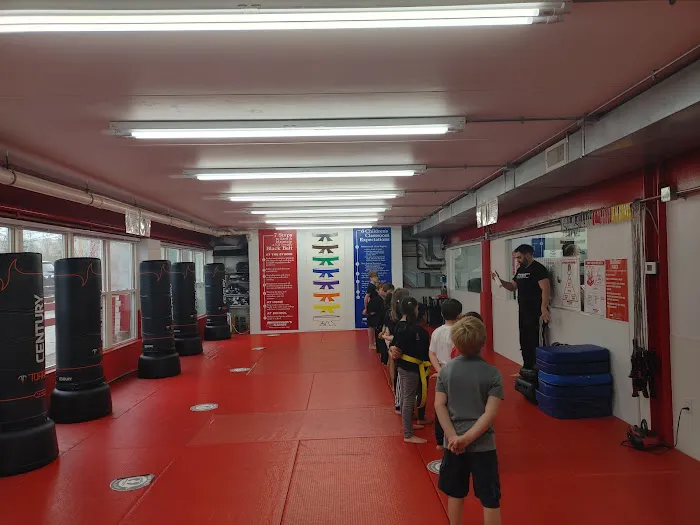Robinson's Karate Co Picture 2