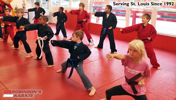 Robinson's Karate Co Picture 3