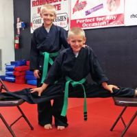 Robinson's Karate Co ico