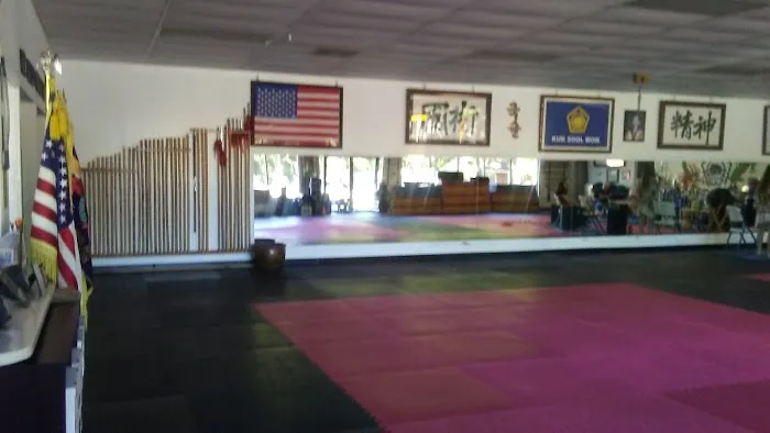 Kuk Sool Won Martial Art Picture 1