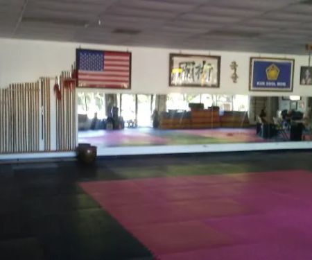 Kuk Sool Won Martial Art