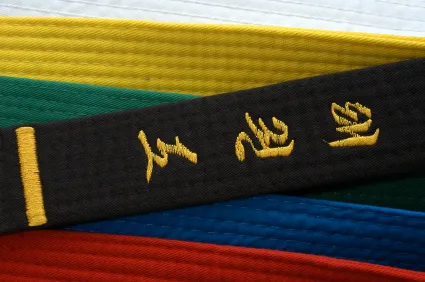 World Martial Arts Academy Picture 1