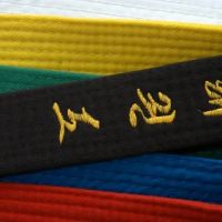 World Martial Arts Academy ico