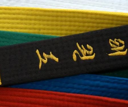 World Martial Arts Academy