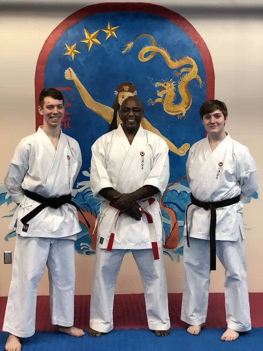 All Star Karate Academy Picture 1