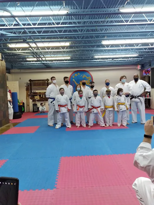 All Star Karate Academy Picture 3