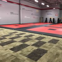 ATA Martial Arts - Chesterfield ico