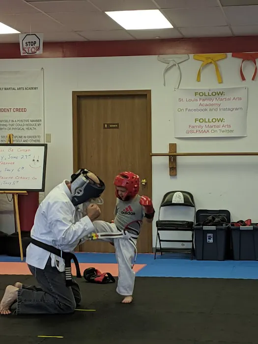 St Louis Family Martial Arts Academy Picture 1